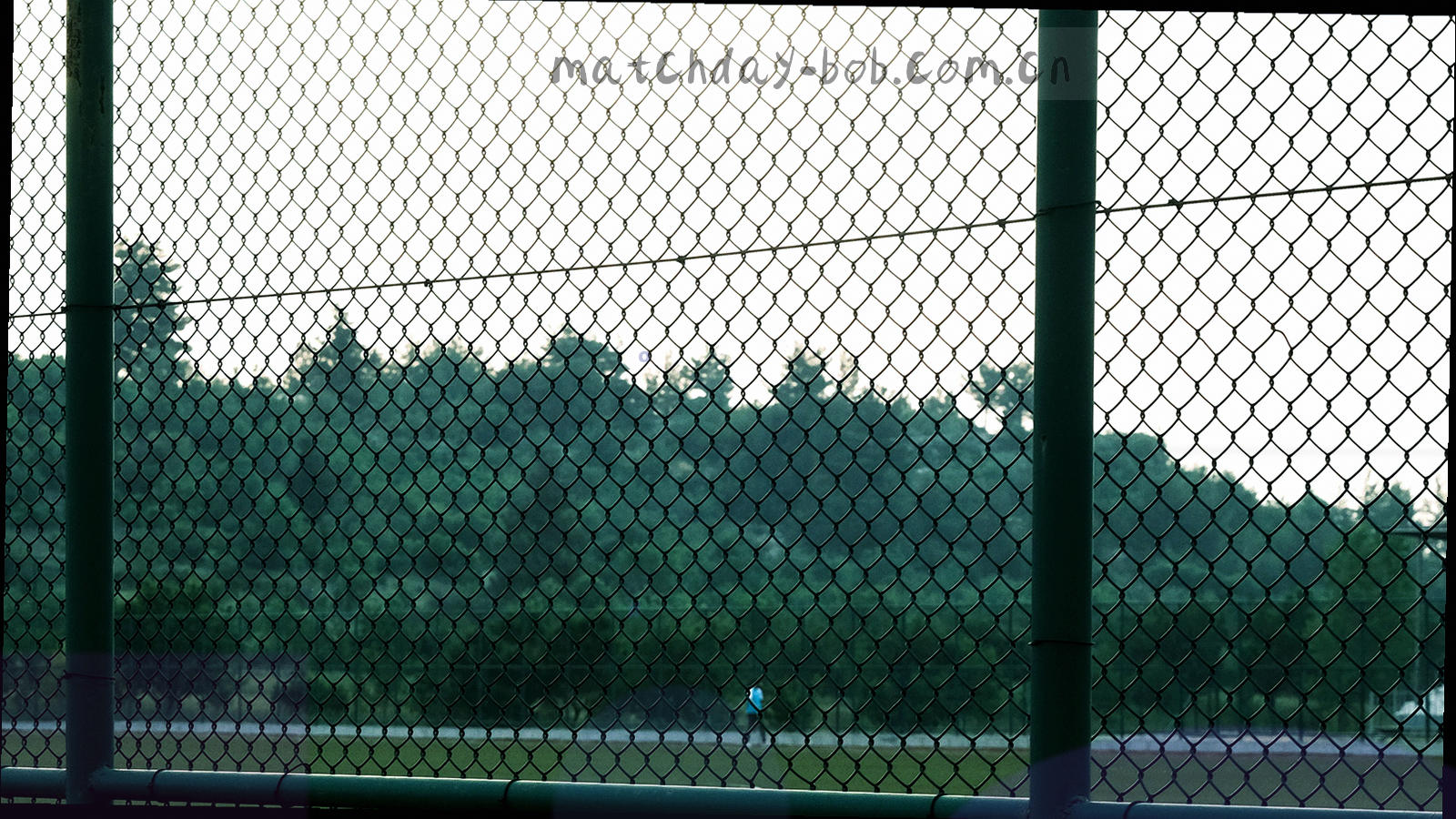 夜间看台与球场灯光的广角画面，观众席层层叠叠，气氛安静而紧张